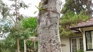 未成年禁入,中文字幕一区二区4477,海量高清AV在线看